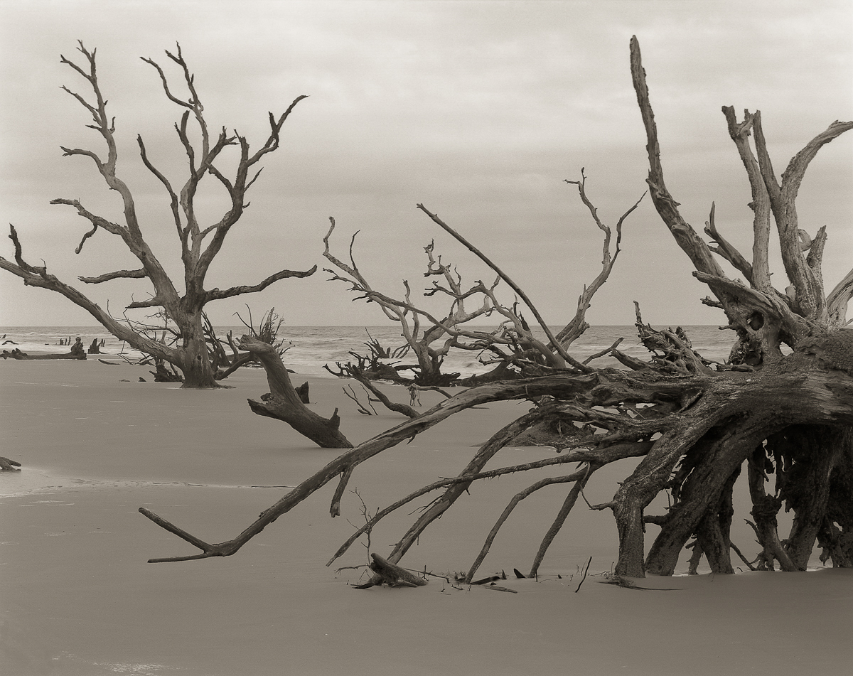 Boneyard Beach #5, Bull Island,SC