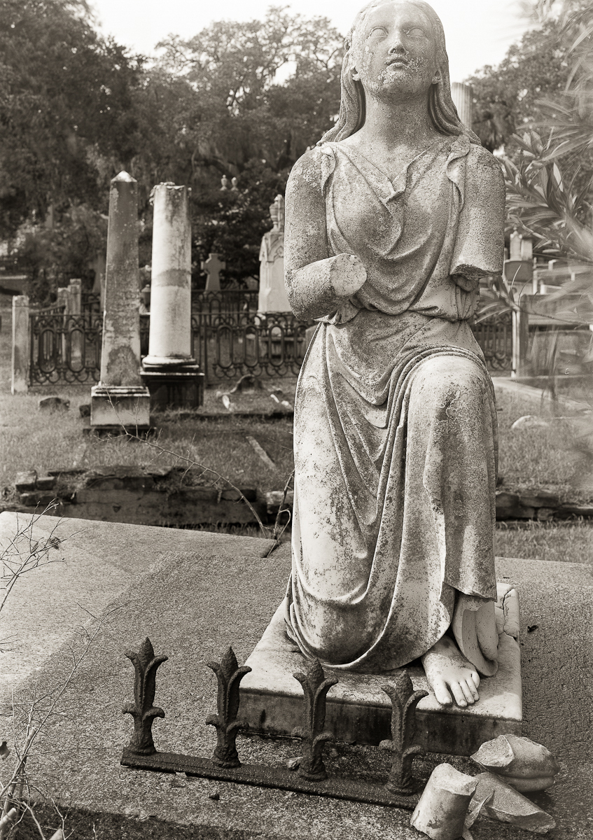 Coffin Tomb Magnolia, Cemetery, Charleston, SC