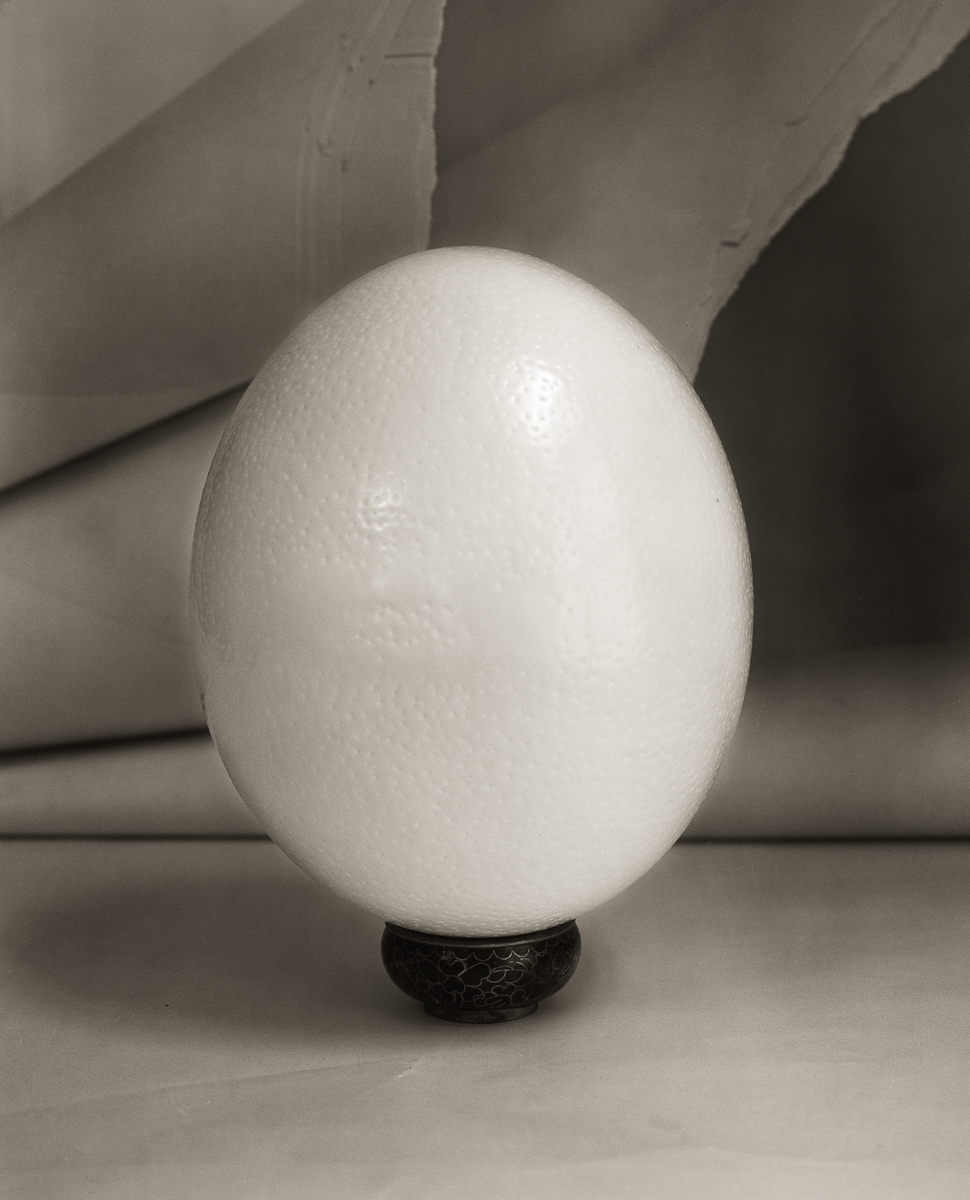 Ostrich Egg