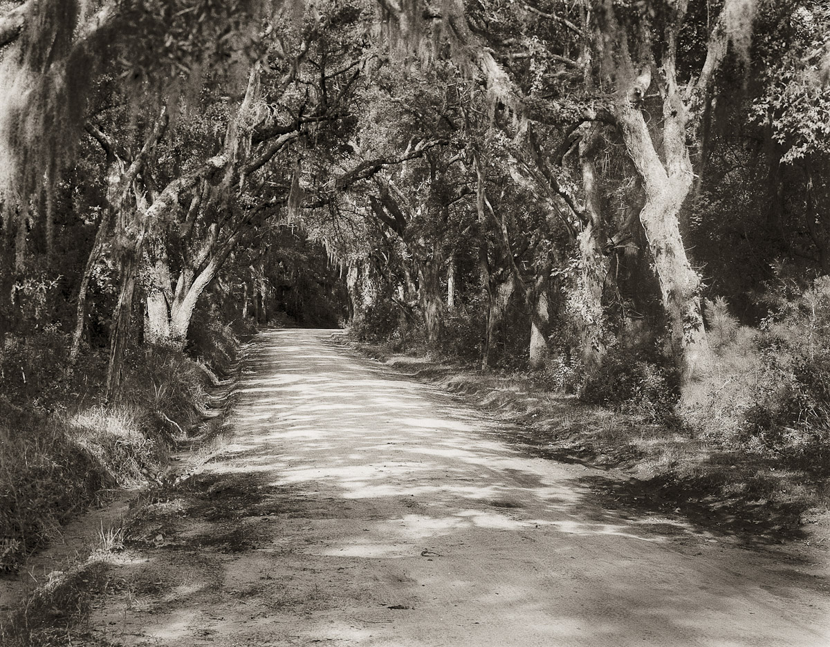 Old Kings Highway, Edisto Island, SC